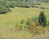 Lot 6 Gladesville Road, Independence, West Virginia 26374, 0 , 0 ,0,Lots/land,For Sale,Gladesville,0,10165740 Lot 6 Gladesville Road, Independence, West Virginia 26374, 0 , 0 ,0,Lots/land,For Sale,Gladesville,0,10165740