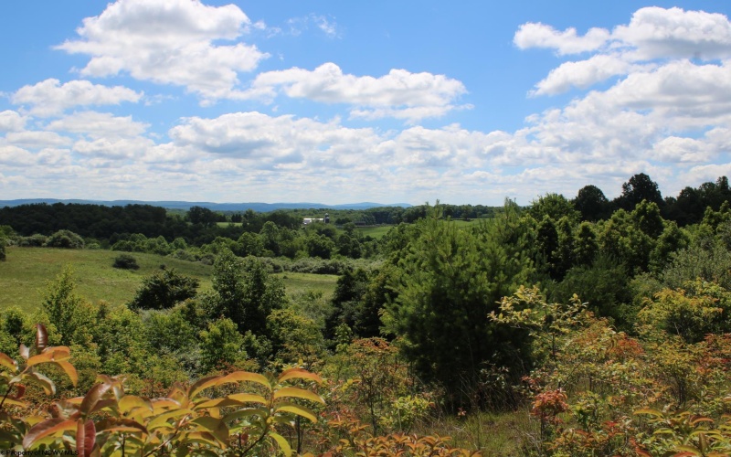 Lot 6 Gladesville Road, Independence, West Virginia 26374, 0 , 0 ,0,Lots/land,For Sale,Gladesville,0,10165740 Lot 6 Gladesville Road, Independence, West Virginia 26374, 0 , 0 ,0,Lots/land,For Sale,Gladesville,0,10165740