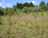 Lot 6 Gladesville Road, Independence, West Virginia 26374, 0 , 0 ,0,Lots/land,For Sale,Gladesville,0,10165740 Lot 6 Gladesville Road, Independence, West Virginia 26374, 0 , 0 ,0,Lots/land,For Sale,Gladesville,0,10165740