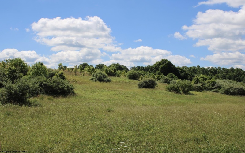 Lot 6 Gladesville Road, Independence, West Virginia 26374, 0 , 0 ,0,Lots/land,For Sale,Gladesville,0,10165740 Lot 6 Gladesville Road, Independence, West Virginia 26374, 0 , 0 ,0,Lots/land,For Sale,Gladesville,0,10165740