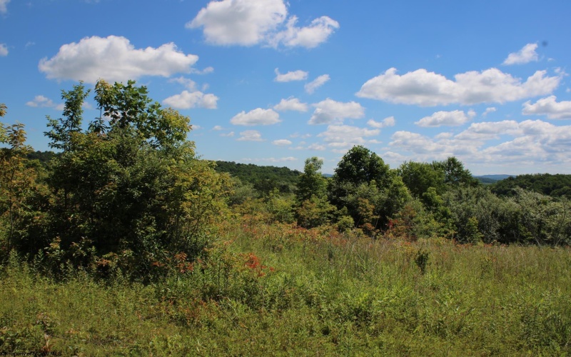 Lot 6 Gladesville Road, Independence, West Virginia 26374, 0 , 0 ,0,Lots/land,For Sale,Gladesville,0,10165740 Lot 6 Gladesville Road, Independence, West Virginia 26374, 0 , 0 ,0,Lots/land,For Sale,Gladesville,0,10165740