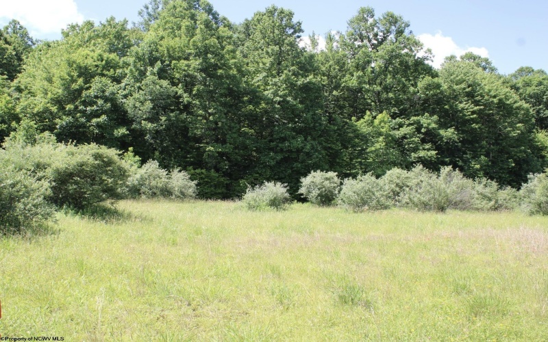Lot 6 Gladesville Road, Independence, West Virginia 26374, 0 , 0 ,0,Lots/land,For Sale,Gladesville,0,10165740 Lot 6 Gladesville Road, Independence, West Virginia 26374, 0 , 0 ,0,Lots/land,For Sale,Gladesville,0,10165740