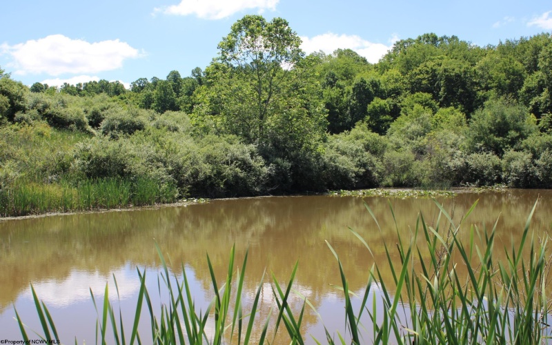 Lot 6 Gladesville Road, Independence, West Virginia 26374, 0 , 0 ,0,Lots/land,For Sale,Gladesville,0,10165740 Lot 6 Gladesville Road, Independence, West Virginia 26374, 0 , 0 ,0,Lots/land,For Sale,Gladesville,0,10165740
