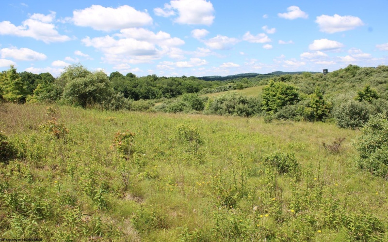 Lot 6 Gladesville Road, Independence, West Virginia 26374, 0 , 0 ,0,Lots/land,For Sale,Gladesville,0,10165740 Lot 6 Gladesville Road, Independence, West Virginia 26374, 0 , 0 ,0,Lots/land,For Sale,Gladesville,0,10165740