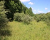 Lot 6 Gladesville Road, Independence, West Virginia 26374, 0 , 0 ,0,Lots/land,For Sale,Gladesville,0,10165740 Lot 6 Gladesville Road, Independence, West Virginia 26374, 0 , 0 ,0,Lots/land,For Sale,Gladesville,0,10165740