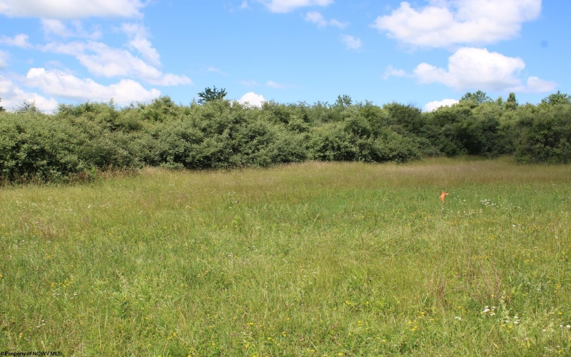 Lot 6 Gladesville Road, Independence, West Virginia 26374, 0 , 0 ,0,Lots/land,For Sale,Gladesville,0,10165740 Lot 6 Gladesville Road, Independence, West Virginia 26374, 0 , 0 ,0,Lots/land,For Sale,Gladesville,0,10165740