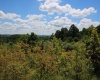 Lot 6 Gladesville Road, Independence, West Virginia 26374, 0 , 0 ,0,Lots/land,For Sale,Gladesville,0,10165740 Lot 6 Gladesville Road, Independence, West Virginia 26374, 0 , 0 ,0,Lots/land,For Sale,Gladesville,0,10165740