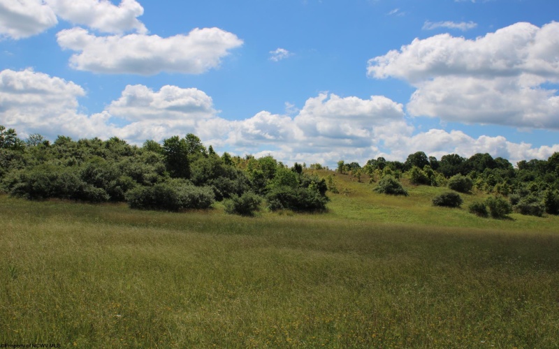 Lot 6 Gladesville Road, Independence, West Virginia 26374, 0 , 0 ,0,Lots/land,For Sale,Gladesville,0,10165740 Lot 6 Gladesville Road, Independence, West Virginia 26374, 0 , 0 ,0,Lots/land,For Sale,Gladesville,0,10165740