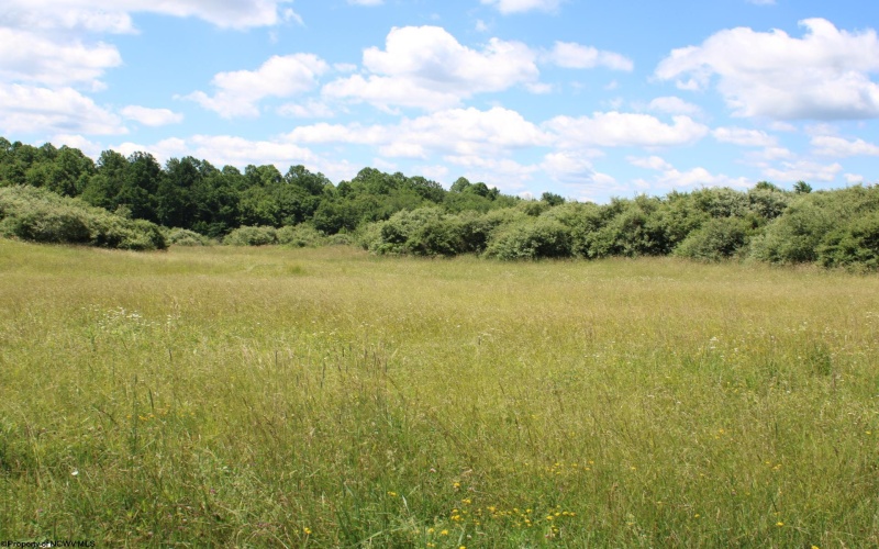 Lot 6 Gladesville Road, Independence, West Virginia 26374, 0 , 0 ,0,Lots/land,For Sale,Gladesville,0,10165740 Lot 6 Gladesville Road, Independence, West Virginia 26374, 0 , 0 ,0,Lots/land,For Sale,Gladesville,0,10165740