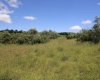 Lot 6 Gladesville Road, Independence, West Virginia 26374, 0 , 0 ,0,Lots/land,For Sale,Gladesville,0,10165740 Lot 6 Gladesville Road, Independence, West Virginia 26374, 0 , 0 ,0,Lots/land,For Sale,Gladesville,0,10165740