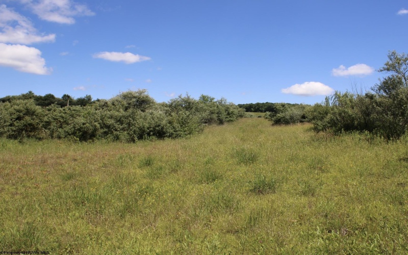 Lot 6 Gladesville Road, Independence, West Virginia 26374, 0 , 0 ,0,Lots/land,For Sale,Gladesville,0,10165740 Lot 6 Gladesville Road, Independence, West Virginia 26374, 0 , 0 ,0,Lots/land,For Sale,Gladesville,0,10165740