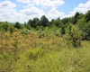 Lot 6 Gladesville Road, Independence, West Virginia 26374, 0 , 0 ,0,Lots/land,For Sale,Gladesville,0,10165740 Lot 6 Gladesville Road, Independence, West Virginia 26374, 0 , 0 ,0,Lots/land,For Sale,Gladesville,0,10165740