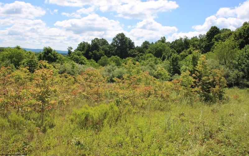 Lot 6 Gladesville Road, Independence, West Virginia 26374, 0 , 0 ,0,Lots/land,For Sale,Gladesville,0,10165740 Lot 6 Gladesville Road, Independence, West Virginia 26374, 0 , 0 ,0,Lots/land,For Sale,Gladesville,0,10165740