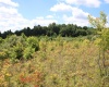 Lot 6 Gladesville Road, Independence, West Virginia 26374, 0 , 0 ,0,Lots/land,For Sale,Gladesville,0,10165740 Lot 6 Gladesville Road, Independence, West Virginia 26374, 0 , 0 ,0,Lots/land,For Sale,Gladesville,0,10165740