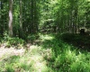 Lot 1 Browns Chapel Road, Morgantown, West Virginia 26508, 0 , 0 ,0,Lots/land,For Sale,Browns Chapel,0,10165741 Lot 1 Browns Chapel Road, Morgantown, West Virginia 26508, 0 , 0 ,0,Lots/land,For Sale,Browns Chapel,0,10165741