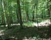 Lot 1 Browns Chapel Road, Morgantown, West Virginia 26508, 0 , 0 ,0,Lots/land,For Sale,Browns Chapel,0,10165741 Lot 1 Browns Chapel Road, Morgantown, West Virginia 26508, 0 , 0 ,0,Lots/land,For Sale,Browns Chapel,0,10165741