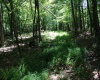 Lot 1 Browns Chapel Road, Morgantown, West Virginia 26508, 0 , 0 ,0,Lots/land,For Sale,Browns Chapel,0,10165741 Lot 1 Browns Chapel Road, Morgantown, West Virginia 26508, 0 , 0 ,0,Lots/land,For Sale,Browns Chapel,0,10165741