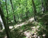 Lot 1 Browns Chapel Road, Morgantown, West Virginia 26508, 0 , 0 ,0,Lots/land,For Sale,Browns Chapel,0,10165741 Lot 1 Browns Chapel Road, Morgantown, West Virginia 26508, 0 , 0 ,0,Lots/land,For Sale,Browns Chapel,0,10165741