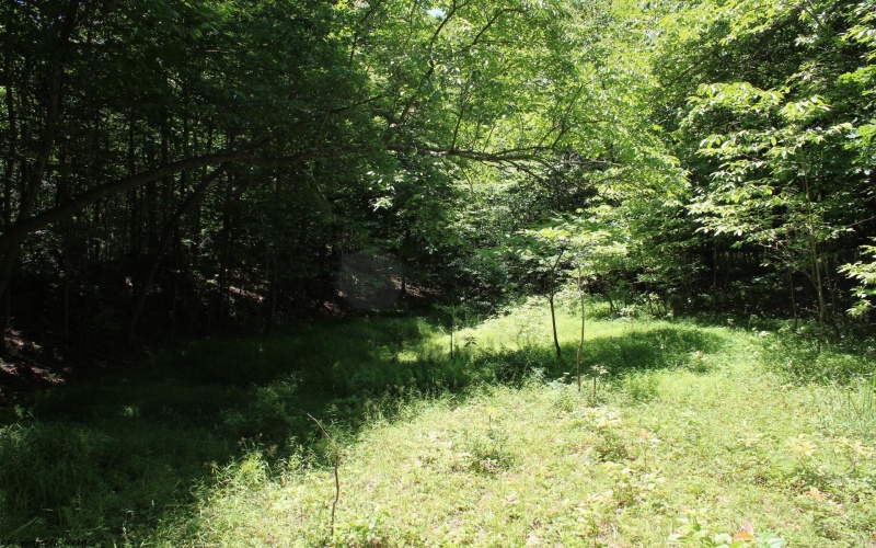 Lot 1 Browns Chapel Road, Morgantown, West Virginia 26508, 0 , 0 ,0,Lots/land,For Sale,Browns Chapel,0,10165741 Lot 1 Browns Chapel Road, Morgantown, West Virginia 26508, 0 , 0 ,0,Lots/land,For Sale,Browns Chapel,0,10165741
