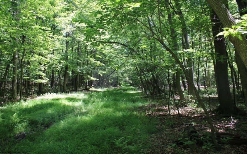 Lot 1 Browns Chapel Road, Morgantown, West Virginia 26508, 0 , 0 ,0,Lots/land,For Sale,Browns Chapel,0,10165741 Lot 1 Browns Chapel Road, Morgantown, West Virginia 26508, 0 , 0 ,0,Lots/land,For Sale,Browns Chapel,0,10165741