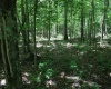 Lot 1 Browns Chapel Road, Morgantown, West Virginia 26508, 0 , 0 ,0,Lots/land,For Sale,Browns Chapel,0,10165741 Lot 1 Browns Chapel Road, Morgantown, West Virginia 26508, 0 , 0 ,0,Lots/land,For Sale,Browns Chapel,0,10165741