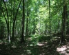 Lot 1 Browns Chapel Road, Morgantown, West Virginia 26508, 0 , 0 ,0,Lots/land,For Sale,Browns Chapel,0,10165741 Lot 1 Browns Chapel Road, Morgantown, West Virginia 26508, 0 , 0 ,0,Lots/land,For Sale,Browns Chapel,0,10165741