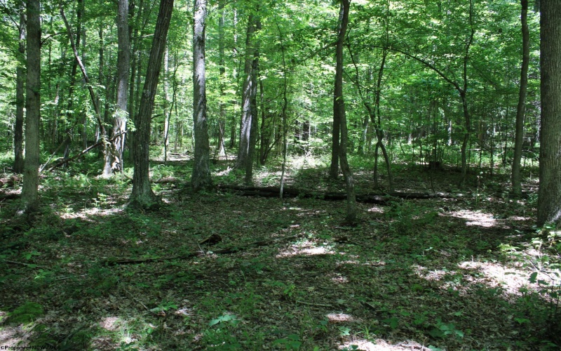 Lot 1 Browns Chapel Road, Morgantown, West Virginia 26508, 0 , 0 ,0,Lots/land,For Sale,Browns Chapel,0,10165741 Lot 1 Browns Chapel Road, Morgantown, West Virginia 26508, 0 , 0 ,0,Lots/land,For Sale,Browns Chapel,0,10165741