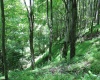 Lot 1 Browns Chapel Road, Morgantown, West Virginia 26508, 0 , 0 ,0,Lots/land,For Sale,Browns Chapel,0,10165741 Lot 1 Browns Chapel Road, Morgantown, West Virginia 26508, 0 , 0 ,0,Lots/land,For Sale,Browns Chapel,0,10165741