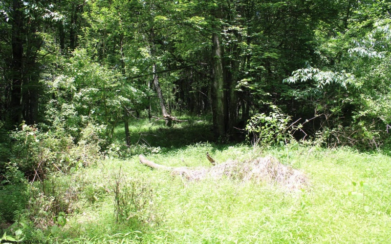 Lot 1 Browns Chapel Road, Morgantown, West Virginia 26508, 0 , 0 ,0,Lots/land,For Sale,Browns Chapel,0,10165741 Lot 1 Browns Chapel Road, Morgantown, West Virginia 26508, 0 , 0 ,0,Lots/land,For Sale,Browns Chapel,0,10165741