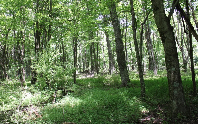 Lot 1 Browns Chapel Road, Morgantown, West Virginia 26508, 0 , 0 ,0,Lots/land,For Sale,Browns Chapel,0,10165741 Lot 1 Browns Chapel Road, Morgantown, West Virginia 26508, 0 , 0 ,0,Lots/land,For Sale,Browns Chapel,0,10165741