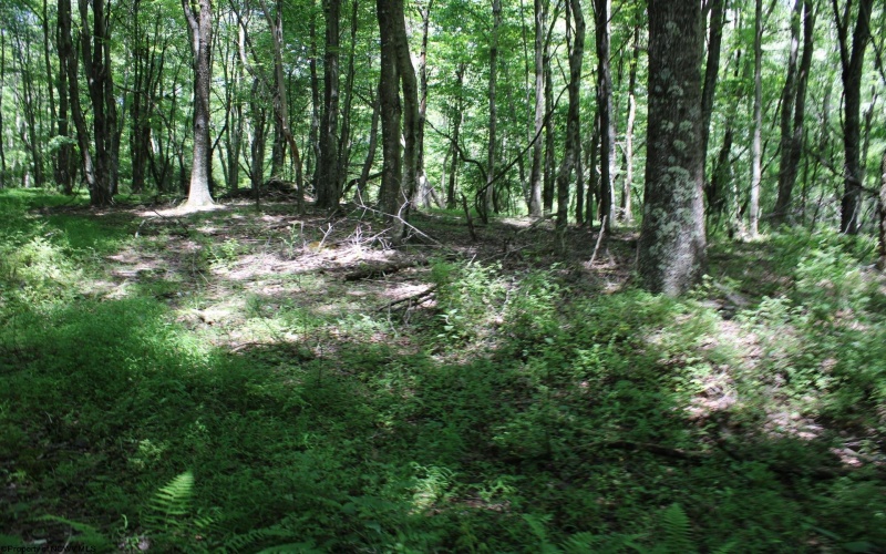 Lot 1 Browns Chapel Road, Morgantown, West Virginia 26508, 0 , 0 ,0,Lots/land,For Sale,Browns Chapel,0,10165741 Lot 1 Browns Chapel Road, Morgantown, West Virginia 26508, 0 , 0 ,0,Lots/land,For Sale,Browns Chapel,0,10165741