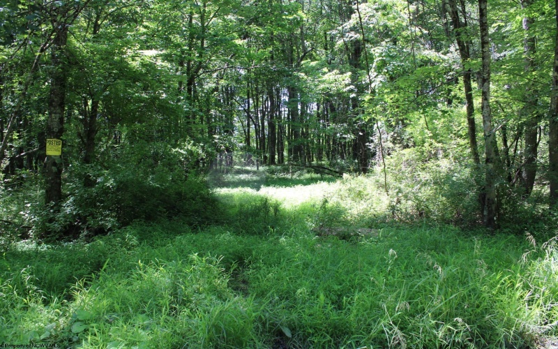 Lot 1 Browns Chapel Road, Morgantown, West Virginia 26508, 0 , 0 ,0,Lots/land,For Sale,Browns Chapel,0,10165741 Lot 1 Browns Chapel Road, Morgantown, West Virginia 26508, 0 , 0 ,0,Lots/land,For Sale,Browns Chapel,0,10165741