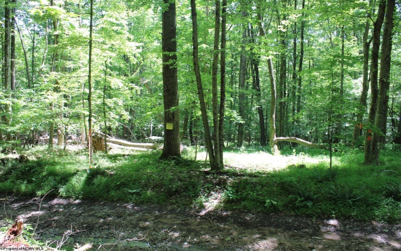 Lot 1 Browns Chapel Road, Morgantown, West Virginia 26508, 0 , 0 ,0,Lots/land,For Sale,Browns Chapel,0,10165741 Lot 1 Browns Chapel Road, Morgantown, West Virginia 26508, 0 , 0 ,0,Lots/land,For Sale,Browns Chapel,0,10165741