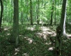 Lot 1 Browns Chapel Road, Morgantown, West Virginia 26508, 0 , 0 ,0,Lots/land,For Sale,Browns Chapel,0,10165741 Lot 1 Browns Chapel Road, Morgantown, West Virginia 26508, 0 , 0 ,0,Lots/land,For Sale,Browns Chapel,0,10165741