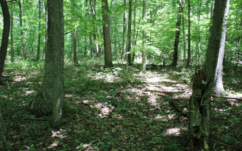 Lot 1 Browns Chapel Road, Morgantown, West Virginia 26508, 0 , 0 ,0,Lots/land,For Sale,Browns Chapel,0,10165741 Lot 1 Browns Chapel Road, Morgantown, West Virginia 26508, 0 , 0 ,0,Lots/land,For Sale,Browns Chapel,0,10165741