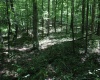 Lot 1 Browns Chapel Road, Morgantown, West Virginia 26508, 0 , 0 ,0,Lots/land,For Sale,Browns Chapel,0,10165741 Lot 1 Browns Chapel Road, Morgantown, West Virginia 26508, 0 , 0 ,0,Lots/land,For Sale,Browns Chapel,0,10165741