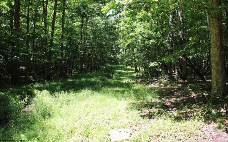Lot 1 Browns Chapel Road, Morgantown, West Virginia 26508, 0 , 0 ,0,Lots/land,For Sale,Browns Chapel,0,10165741 Lot 1 Browns Chapel Road, Morgantown, West Virginia 26508, 0 , 0 ,0,Lots/land,For Sale,Browns Chapel,0,10165741