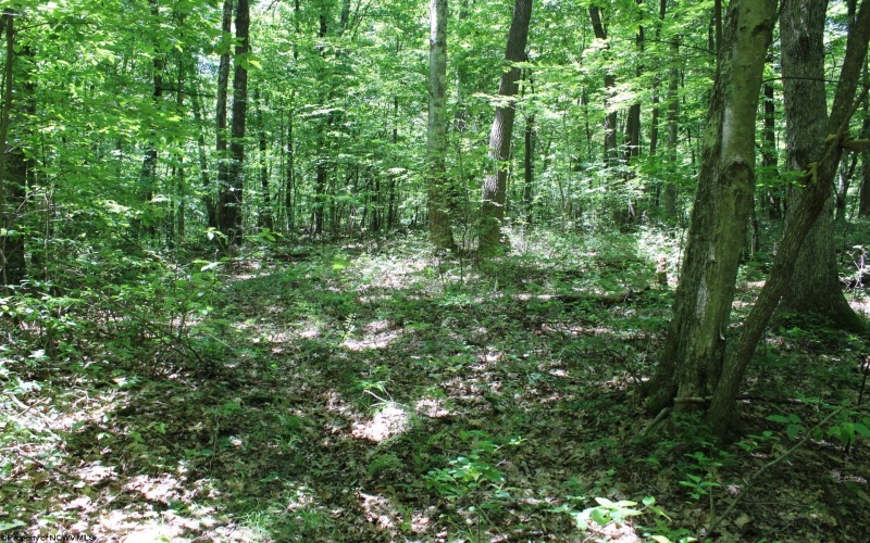 Lot 1 Browns Chapel Road, Morgantown, West Virginia 26508, 0 , 0 ,0,Lots/land,For Sale,Browns Chapel,0,10165741 Lot 1 Browns Chapel Road, Morgantown, West Virginia 26508, 0 , 0 ,0,Lots/land,For Sale,Browns Chapel,0,10165741