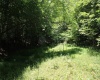 Lot 1 Browns Chapel Road, Morgantown, West Virginia 26508, 0 , 0 ,0,Lots/land,For Sale,Browns Chapel,0,10165741 Lot 1 Browns Chapel Road, Morgantown, West Virginia 26508, 0 , 0 ,0,Lots/land,For Sale,Browns Chapel,0,10165741