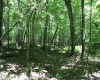 Lot 1 Browns Chapel Road, Morgantown, West Virginia 26508, 0 , 0 ,0,Lots/land,For Sale,Browns Chapel,0,10165741 Lot 1 Browns Chapel Road, Morgantown, West Virginia 26508, 0 , 0 ,0,Lots/land,For Sale,Browns Chapel,0,10165741