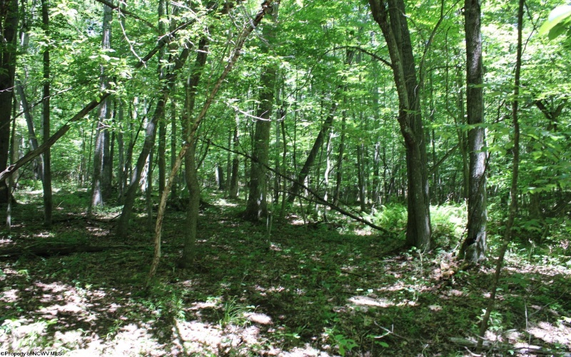 Lot 1 Browns Chapel Road, Morgantown, West Virginia 26508, 0 , 0 ,0,Lots/land,For Sale,Browns Chapel,0,10165741 Lot 1 Browns Chapel Road, Morgantown, West Virginia 26508, 0 , 0 ,0,Lots/land,For Sale,Browns Chapel,0,10165741