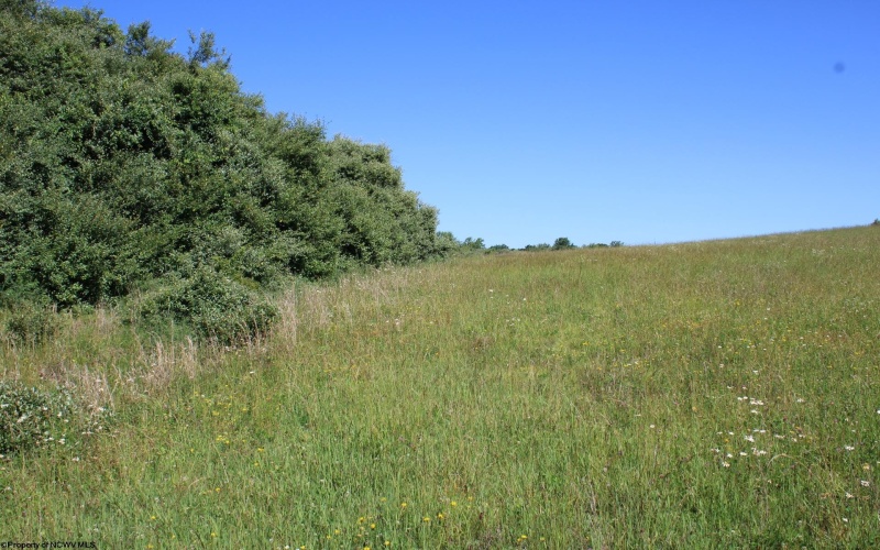 Lot 2 Gladesville Road, Morgantown, West Virginia 26508, 0 , 0 ,0,Lots/land,For Sale,Gladesville,0,10165742 Lot 2 Gladesville Road, Morgantown, West Virginia 26508, 0 , 0 ,0,Lots/land,For Sale,Gladesville,0,10165742
