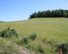 Lot 2 Gladesville Road, Morgantown, West Virginia 26508, 0 , 0 ,0,Lots/land,For Sale,Gladesville,0,10165742 Lot 2 Gladesville Road, Morgantown, West Virginia 26508, 0 , 0 ,0,Lots/land,For Sale,Gladesville,0,10165742