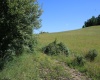 Lot 2 Gladesville Road, Morgantown, West Virginia 26508, 0 , 0 ,0,Lots/land,For Sale,Gladesville,0,10165742 Lot 2 Gladesville Road, Morgantown, West Virginia 26508, 0 , 0 ,0,Lots/land,For Sale,Gladesville,0,10165742