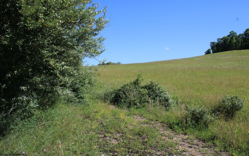 Lot 2 Gladesville Road, Morgantown, West Virginia 26508, 0 , 0 ,0,Lots/land,For Sale,Gladesville,0,10165742 Lot 2 Gladesville Road, Morgantown, West Virginia 26508, 0 , 0 ,0,Lots/land,For Sale,Gladesville,0,10165742