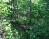 Lot 2 Gladesville Road, Morgantown, West Virginia 26508, 0 , 0 ,0,Lots/land,For Sale,Gladesville,0,10165742 Lot 2 Gladesville Road, Morgantown, West Virginia 26508, 0 , 0 ,0,Lots/land,For Sale,Gladesville,0,10165742