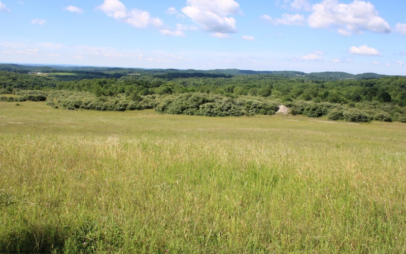 Lot 2 Gladesville Road, Morgantown, West Virginia 26508, 0 , 0 ,0,Lots/land,For Sale,Gladesville,0,10165742 Lot 2 Gladesville Road, Morgantown, West Virginia 26508, 0 , 0 ,0,Lots/land,For Sale,Gladesville,0,10165742