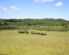 Lot 2 Gladesville Road, Morgantown, West Virginia 26508, 0 , 0 ,0,Lots/land,For Sale,Gladesville,0,10165742 Lot 2 Gladesville Road, Morgantown, West Virginia 26508, 0 , 0 ,0,Lots/land,For Sale,Gladesville,0,10165742