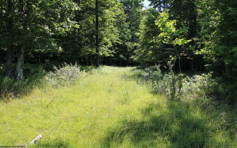 Lot 2 Gladesville Road, Morgantown, West Virginia 26508, 0 , 0 ,0,Lots/land,For Sale,Gladesville,0,10165742 Lot 2 Gladesville Road, Morgantown, West Virginia 26508, 0 , 0 ,0,Lots/land,For Sale,Gladesville,0,10165742
