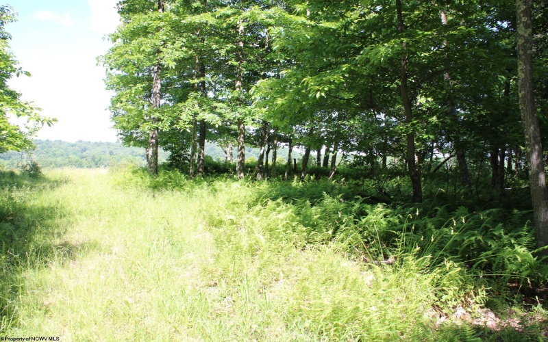 Lot 2 Gladesville Road, Morgantown, West Virginia 26508, 0 , 0 ,0,Lots/land,For Sale,Gladesville,0,10165742 Lot 2 Gladesville Road, Morgantown, West Virginia 26508, 0 , 0 ,0,Lots/land,For Sale,Gladesville,0,10165742